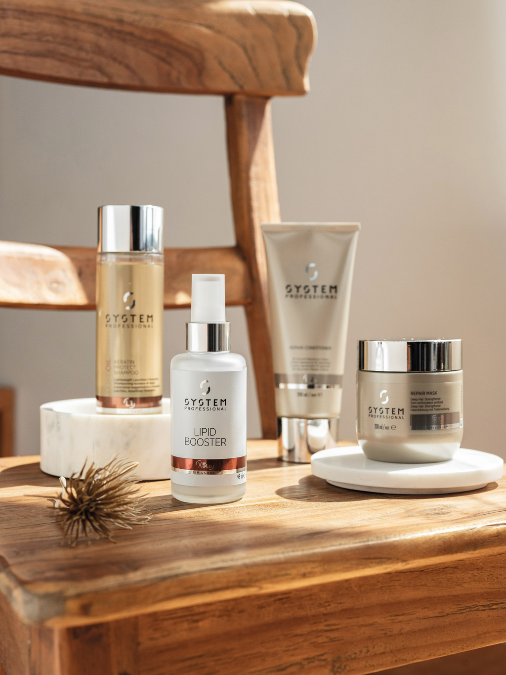 System-Professional_Lipid-Booste.jpg